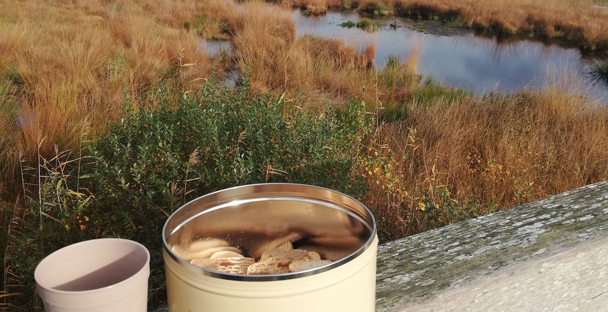 Eine Keksdose und ein Becher auf einem Holztisch vor einer Moorlandschaft.