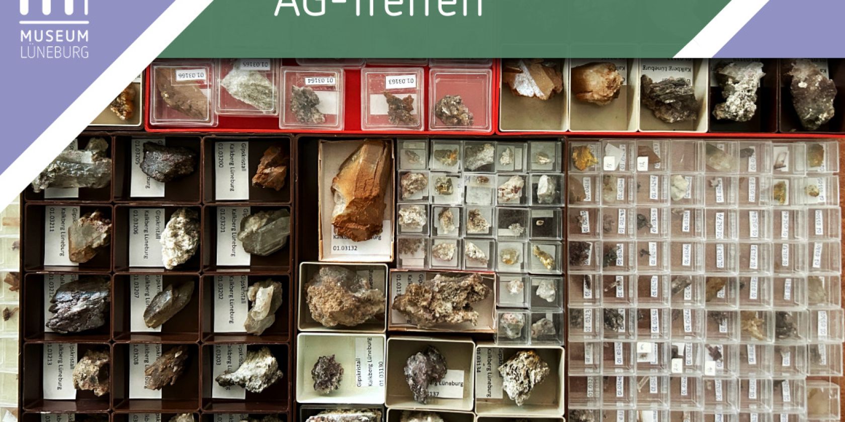 Treffen der AG Geologie & Geschiebekunde, © Museum Lüneburg