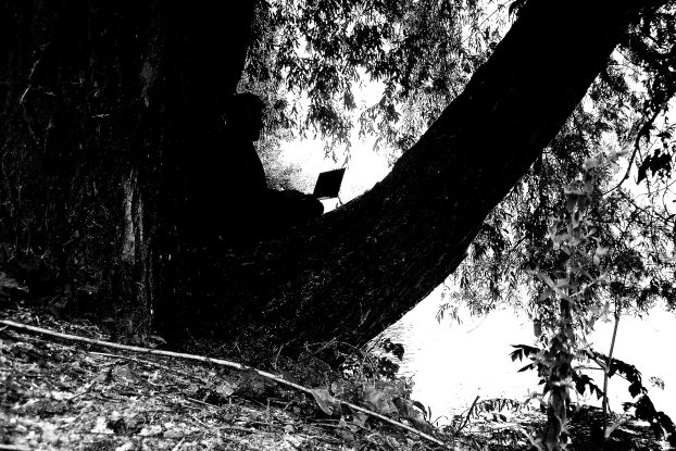 100_9938d, © Andreas Rademacher