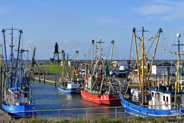 Flohmarkt_Dorum-Neufeld, © B. Ulich