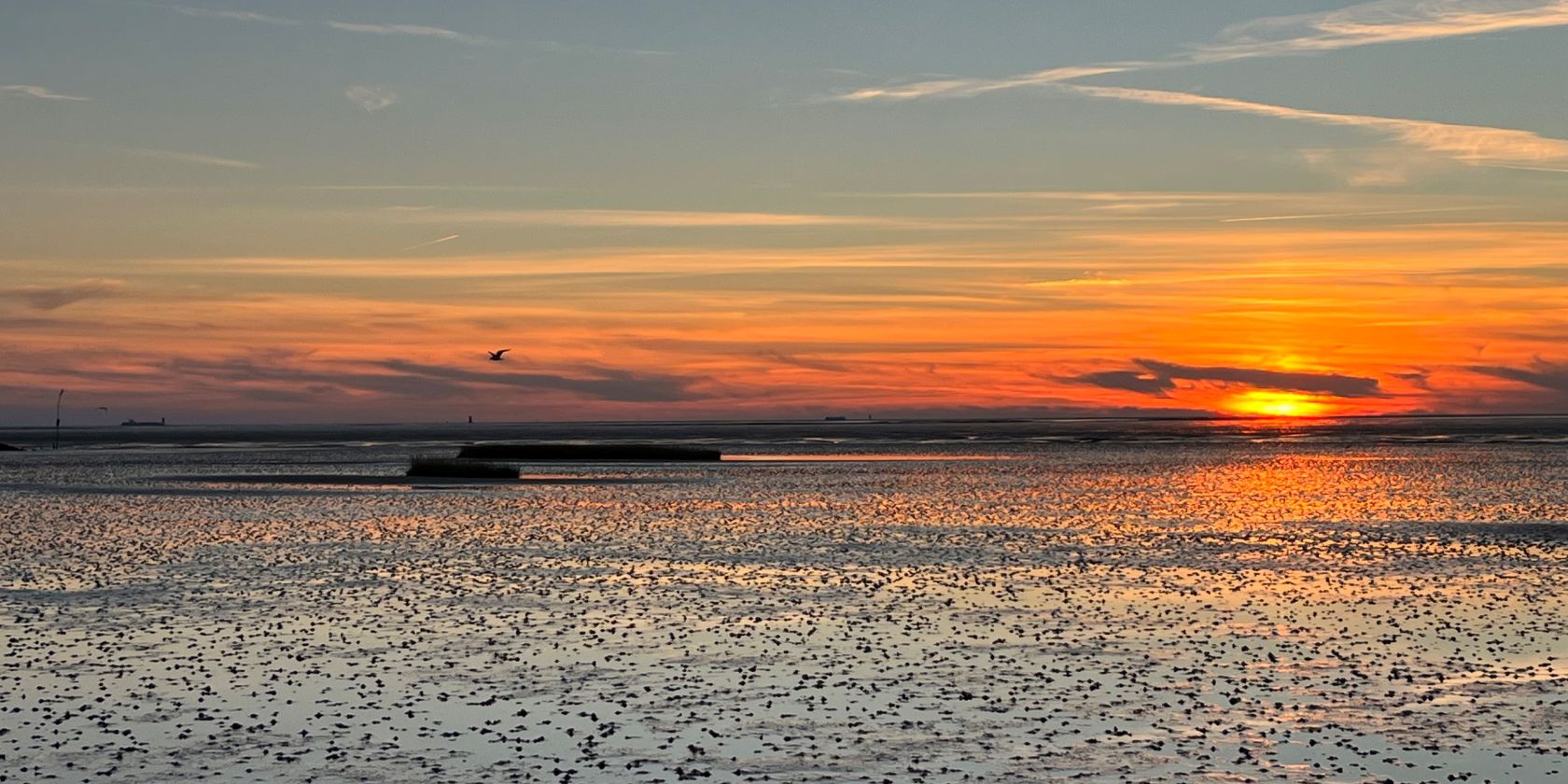 Abendwattwanderung, © NPH