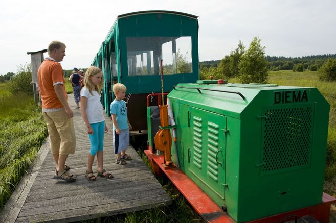 Eine Familie steht neben einer kleinen grünen Moorbahn mit der Aufschrift 'DIEMA' auf einem Holzsteg in einer grünen Landschaft.