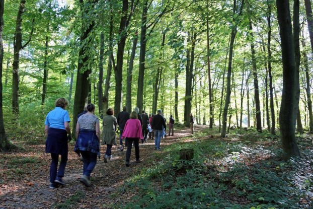 Naturwanderung, © AdobeStock