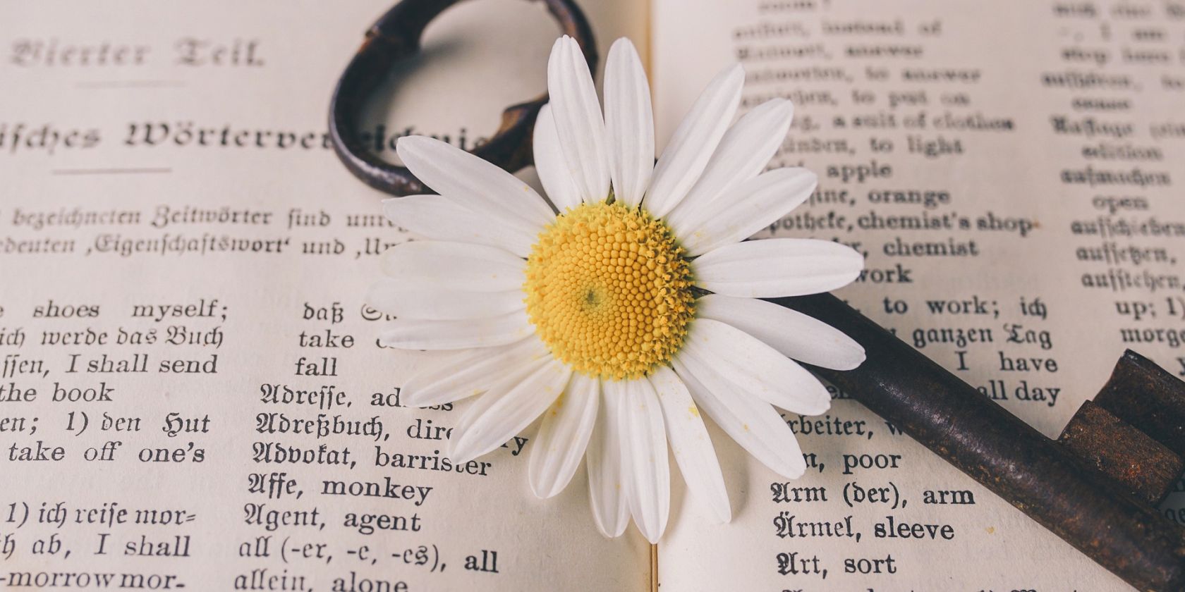 25-06-15_Lit.-Cafe pixabay, © pixabay