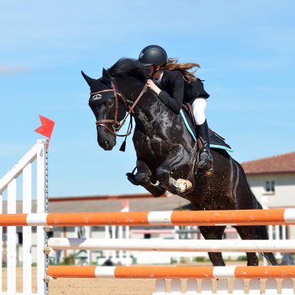 Reiten, © Bild von pixelia auf Pixabay