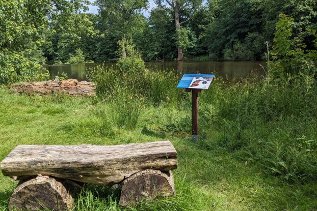 Vogelkundliche Parkführung, © ThFritz