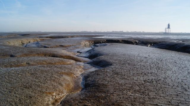 Lange Wattwanderung, © NPH