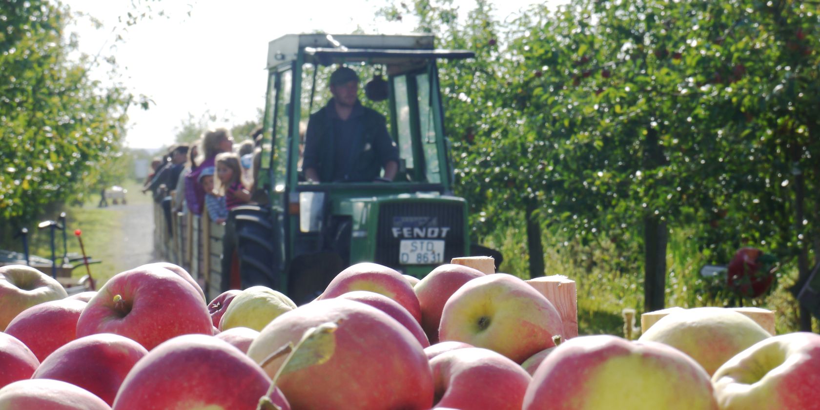 Hofführung mit Apfelexpressfahrt durch den Bio-Obsthof des Herzapfelhofes, © Herzapfelhof Lühs