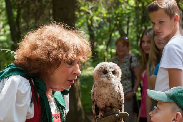 Greifvögel aus nächster Nähe, © Bispingen Touristik e.V.