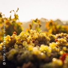 Weinseminar Grundlagen 1 - Einsteiger, © links im Bild