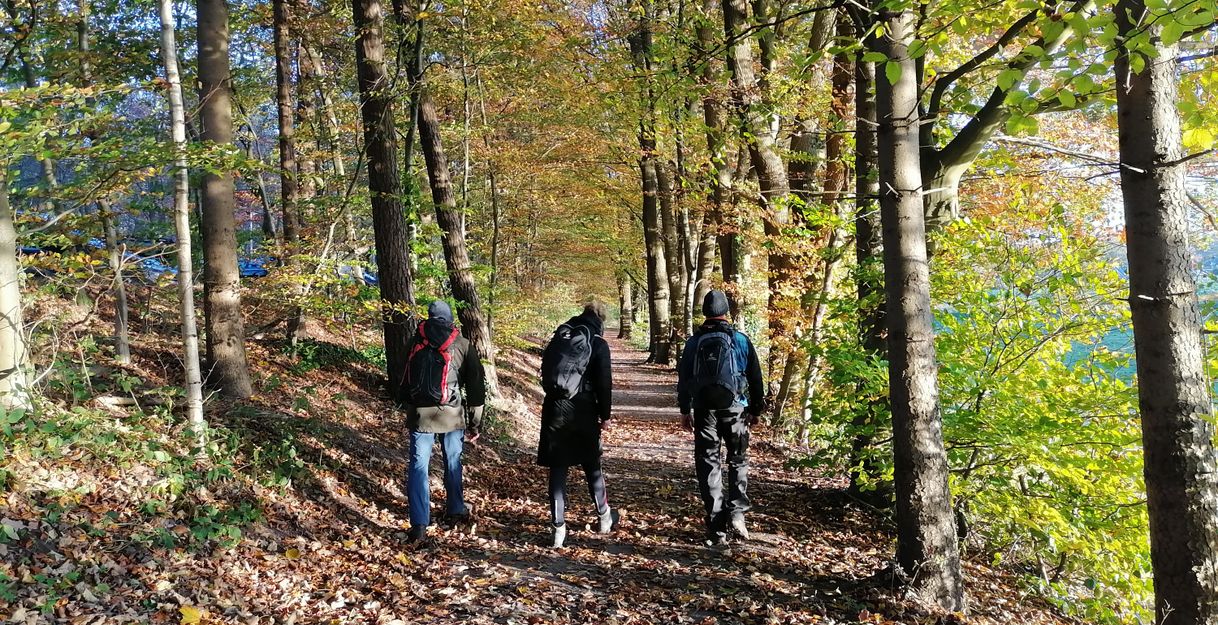 Drei Personen wandern im Herbst durch einen Waldweg, umgeben von buntem Laub.