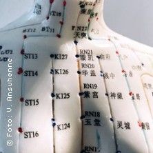 Modell eines menschlichen Oberkörpers mit Akupunkturpunkten und Meridianen.