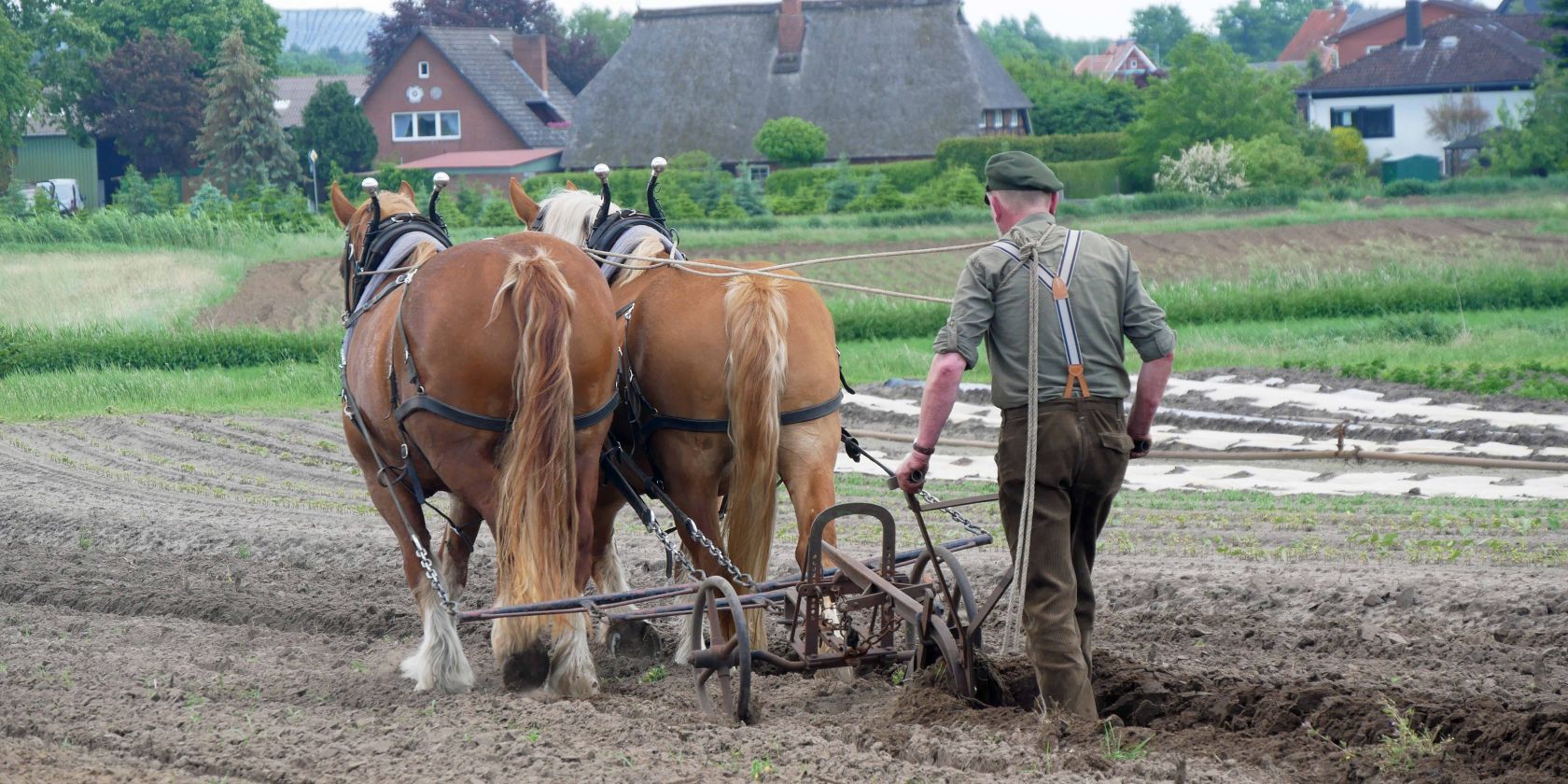 Pflügen, © Hagel