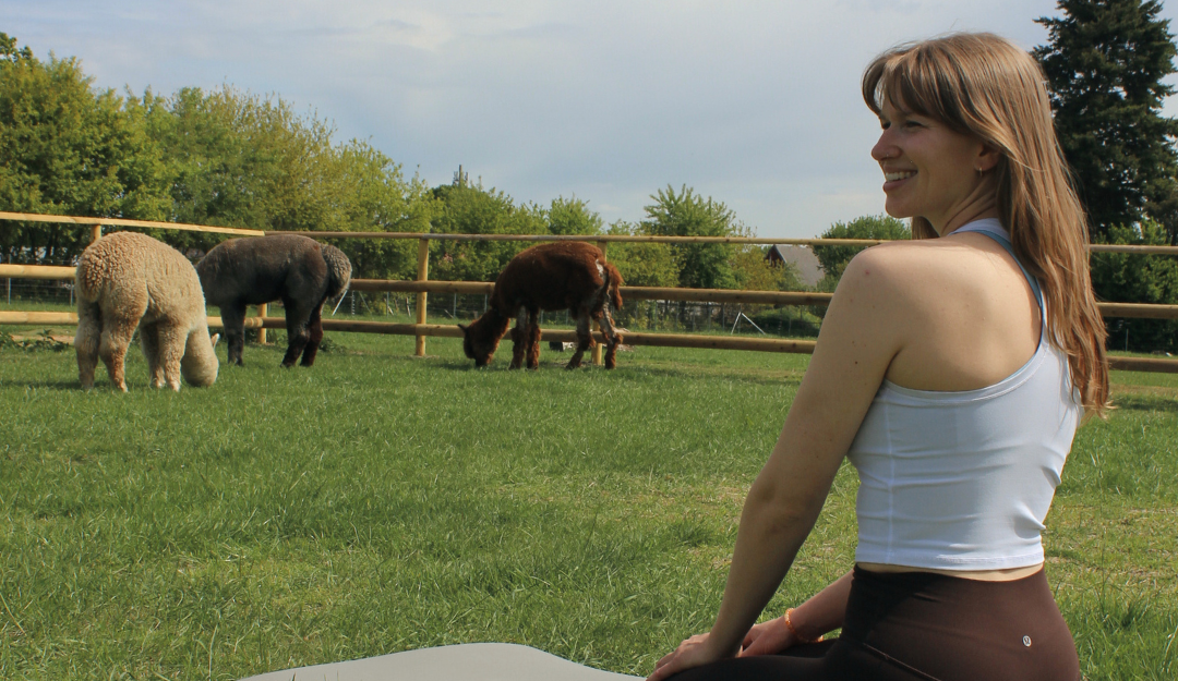 Eine Frau macht Yoga auf einer Matte im Freien, während drei Alpakas im Hintergrund grasen.
