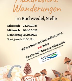 Plakat für die Pilzwanderungen im Buchwedel 