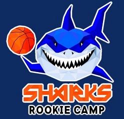 Basketball Rookie Camp mit den Hittfeld Sharks
