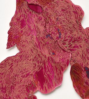 Detail aus Rhizome Red 3, 2024