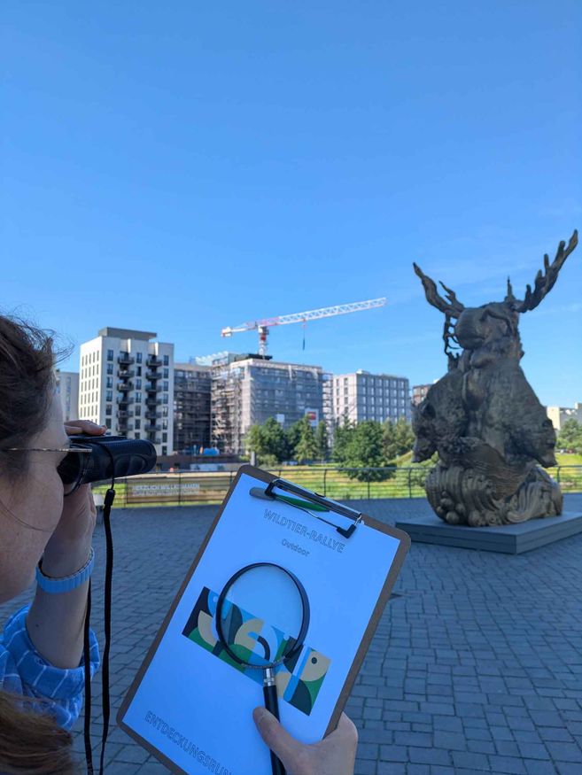 Ausblick von der Ausstellung "Botschaft der Wildtier" schaut man in Richtung Hafen. Im Vordergrund sind die Mateialien der Rally zu sehen.