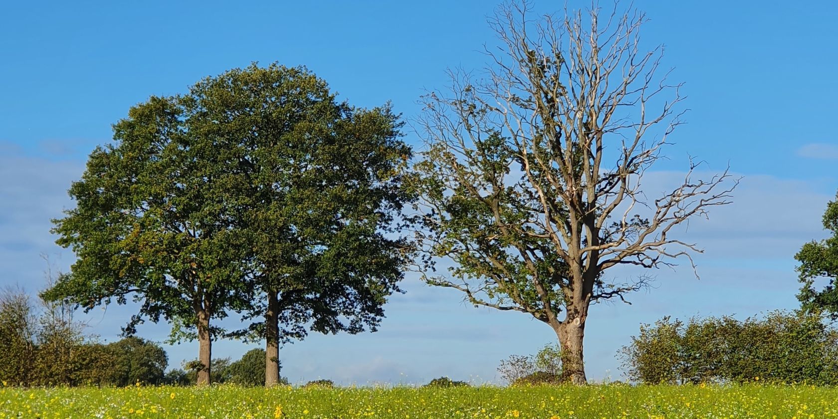 Gutes für die Seele, © © Ursula Kranefuß