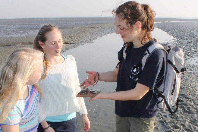Lange Wattwanderung von Büsum bis Stinteck