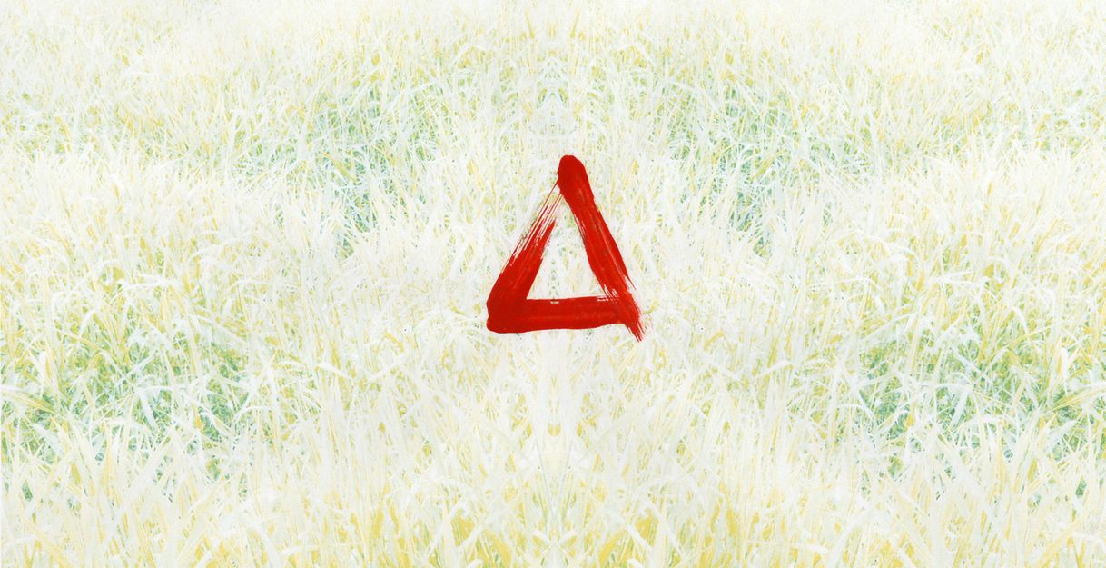 Das Bild zeigt eine Weideflächen mit hohem, buschigem Gras. Durch die geringen Kontraste und Helligkeit des Fotos erscheint das Gras hellgrün, fast gelb. In der Mitte des Bildes ist mit roter Farbe in grobem Pinselstrich ein Dreieck eingemalt.