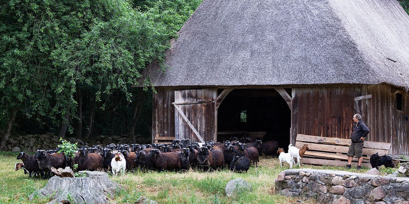 Heidschnuckenhof Niederohe, © Lüneburger Heide GmbH