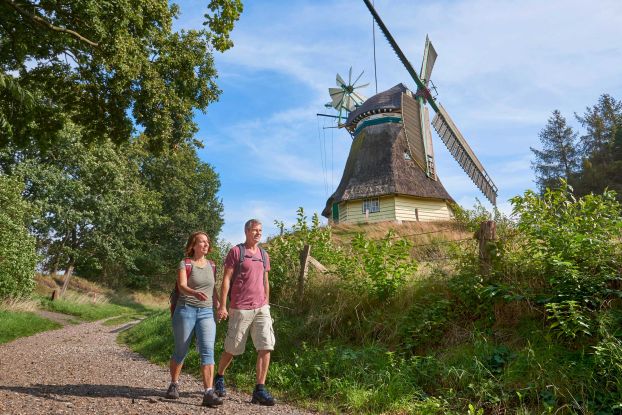 St. Michel-Woche, © Dithmarschen Tourismus