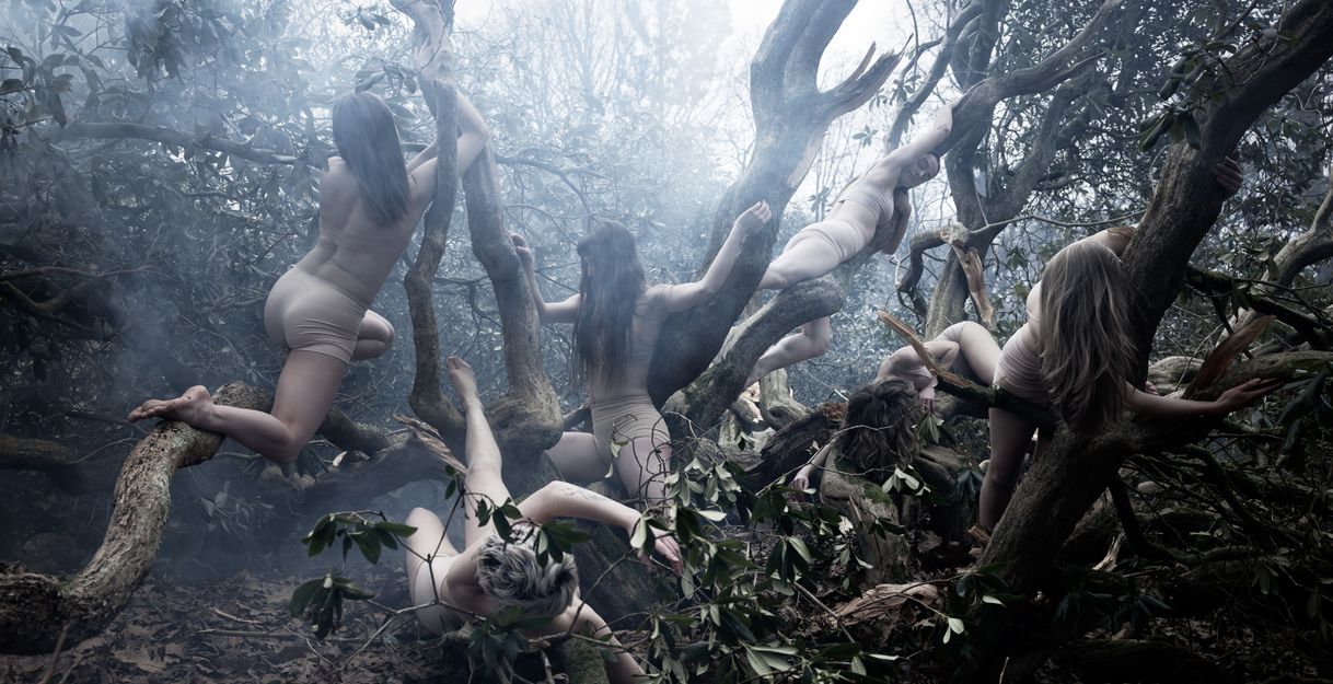 Six performers writhe around the branches of a tree. They are wearing beige underwear. The atmosphere is gloomy, the tree is bare and shrouded in fog.