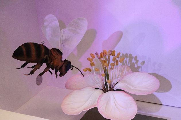 Die Welt der Insekten