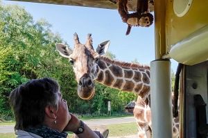 Serengeti-Park
