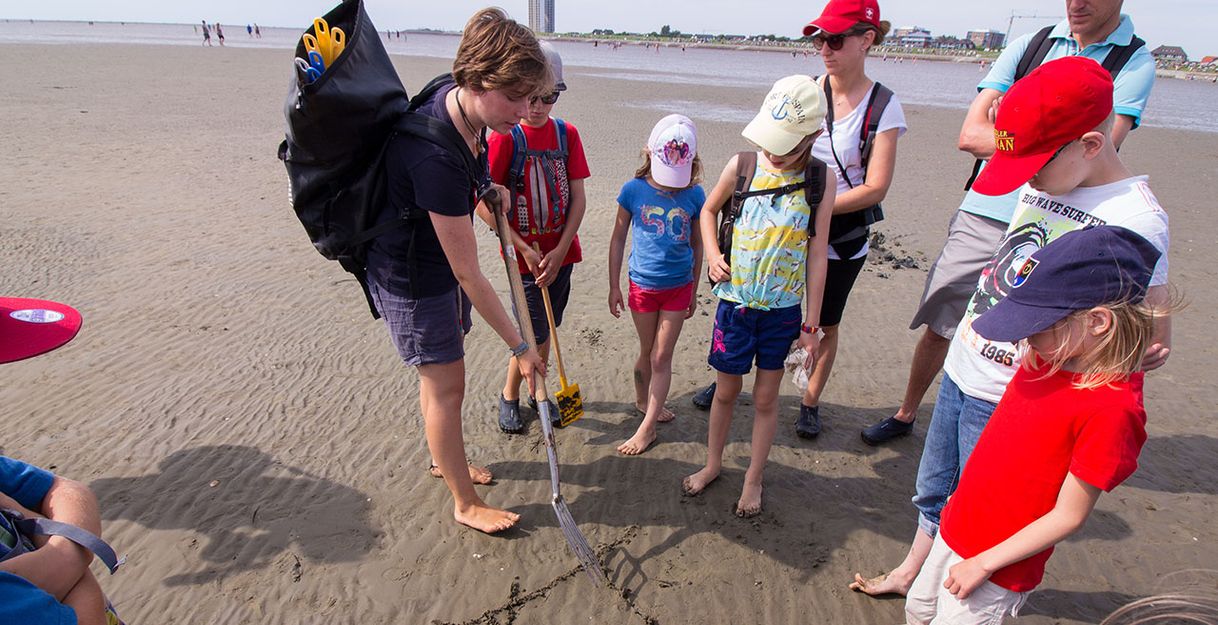 Wattwanderung in Büsum: Weltnaturerbe Wattenmeer