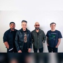 Vier Männer stehen nebeneinander vor einer weißen Wand.