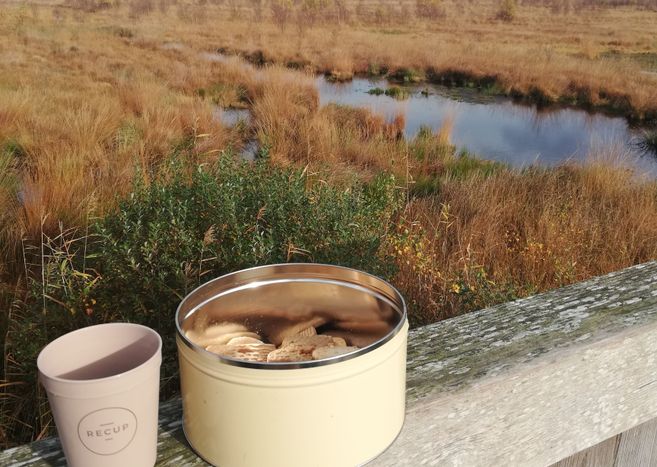 Eine Keksdose und ein Becher auf einem Holztisch vor einer Moorlandschaft.