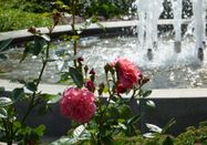 Kreismuseum Prinzeßhof