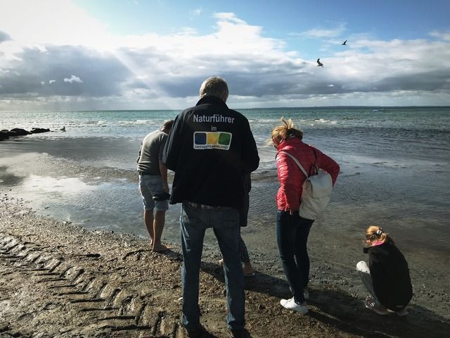 Eine Gruppe von Menschen, angeführt von einem Naturführer, sucht am Strand nach Bernstein.