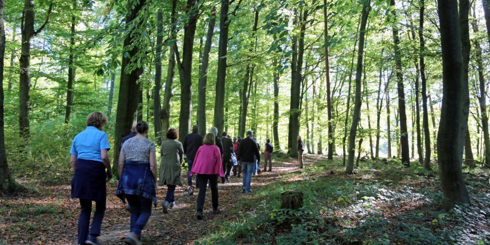 Naturwanderung, © AdobeStock