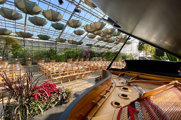 Blick durch einen geöffneten Konzertflügel in die Stuhlreihen im Gewächshaus des Botanischen Gartens anlässlich eines Konzertes