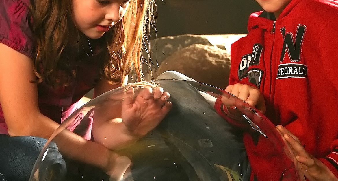 Zwei Kinder betrachten interessiert ein Objekt durch eine transparente Kuppel.