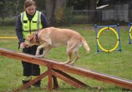 Hamburger Tierschutzverein von 1841 e.V.