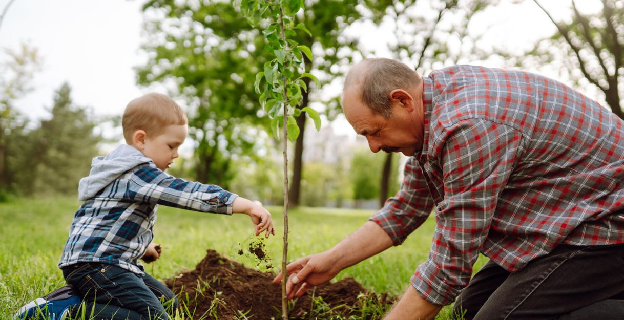 Ein älterer Mann und ein kleines Kind knien auf einer Wiese und pflanzen gemeinsam einen jungen Baum, während sie Erde um den Setzling verteilen.