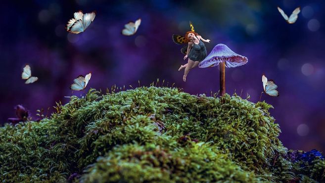 Eine kleine Fee mit Schmetterlingsflügeln schwebt über einem moosbedeckten Hügel neben einem lila Pilz, umgeben von weißen Schmetterlingen.