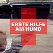 Persönlichkeit Hund - Welche ist dein Hund?, © links im Bild