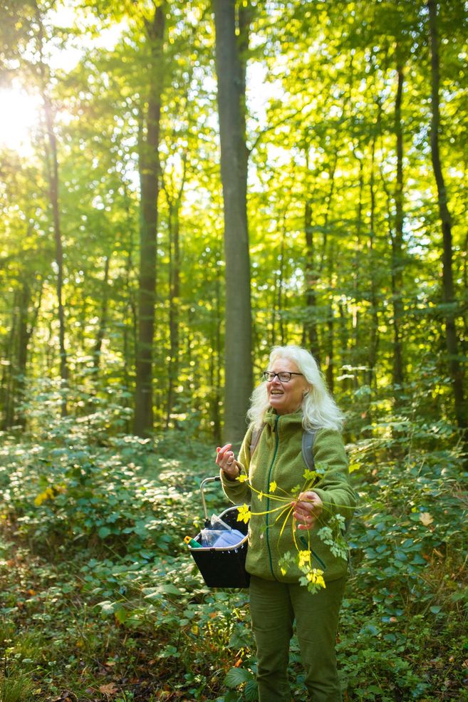 Eine Frau im Wald hält Wildkräuter in der Hand und trägt einen Korb.