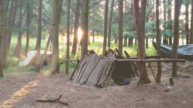 Ein improvisierter Unterschlupf aus Ästen und Planen im Wald.