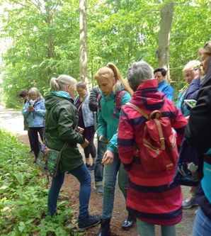 Kräuterwanderung