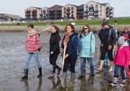 Schutzstation Wattenmeer e.V.