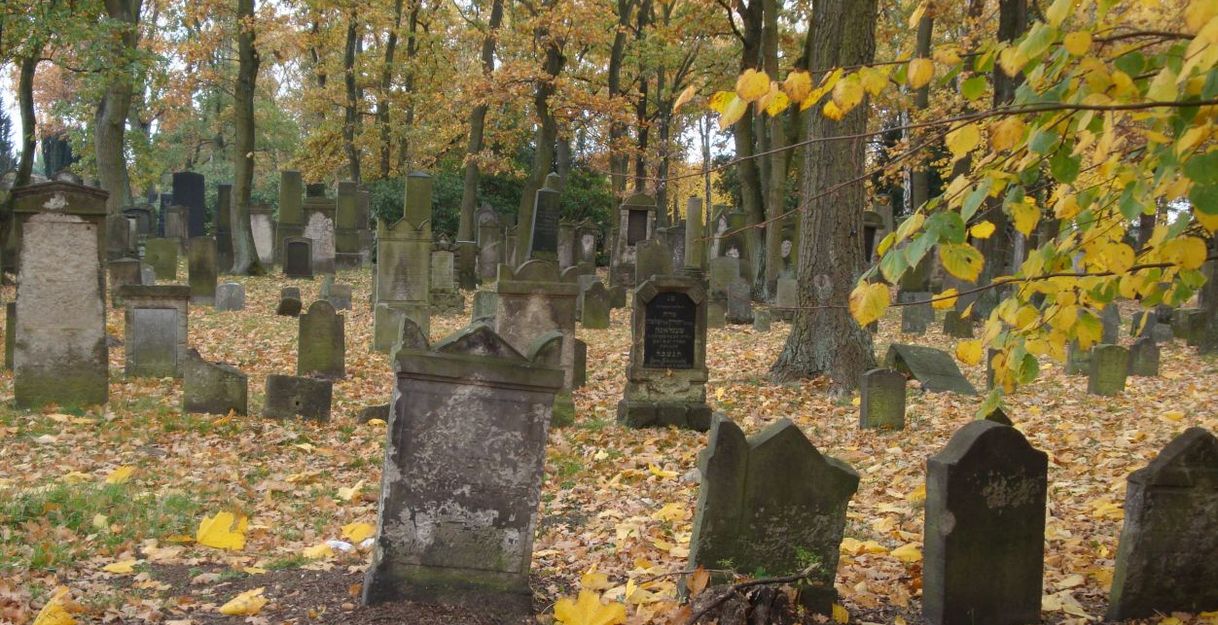 Friedhof Langenfelde