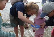 Schutzstation Wattenmeer e.V.