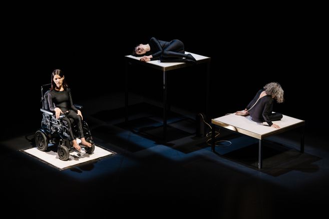 Ausschnitt aus »Michel – The Animals I Am« von Chiara Bersani.