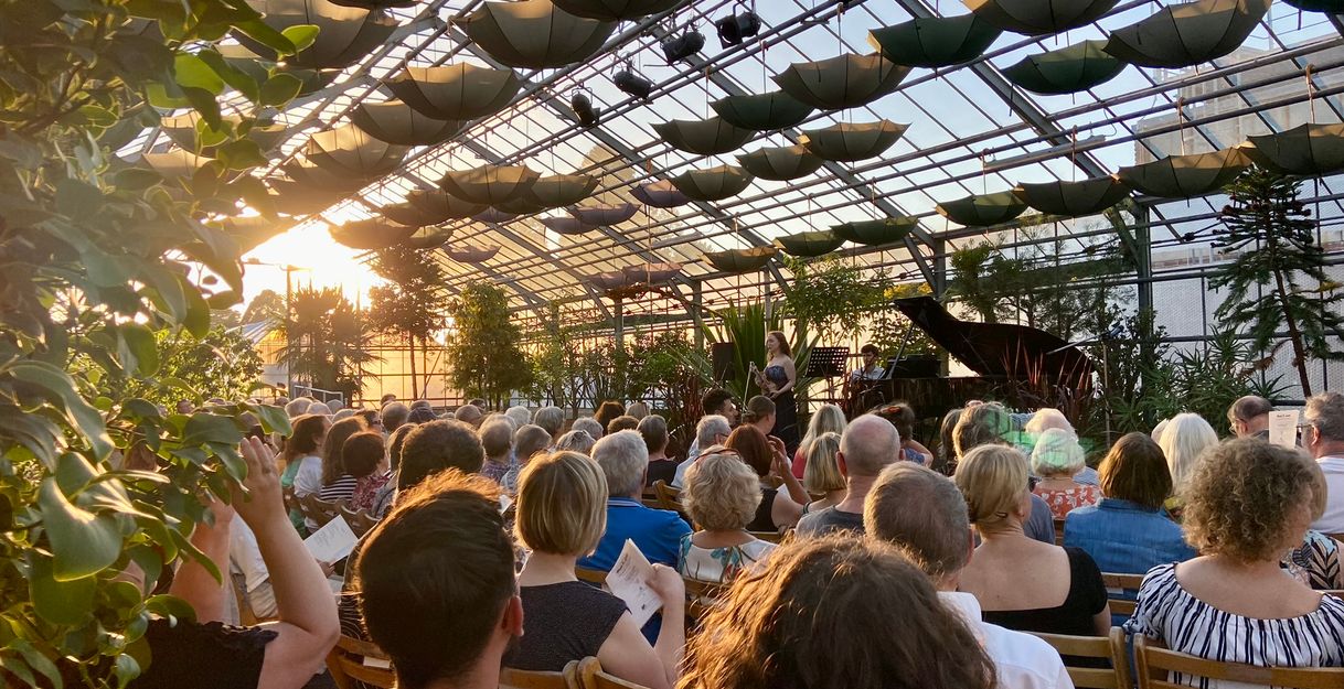 Blick in das Gewächshaus 1 des Loki-Schmidt-Gartens bei einem Konzert. Im Vordergrund viele Sitzreihen in der RÜckenansicht, im Mittelgrund ein aufgeklappter Konzertflügel, am oberen Bildrand die Gläserne Decke, an der zur Verschattung umgedrehte Regenschirme hängen